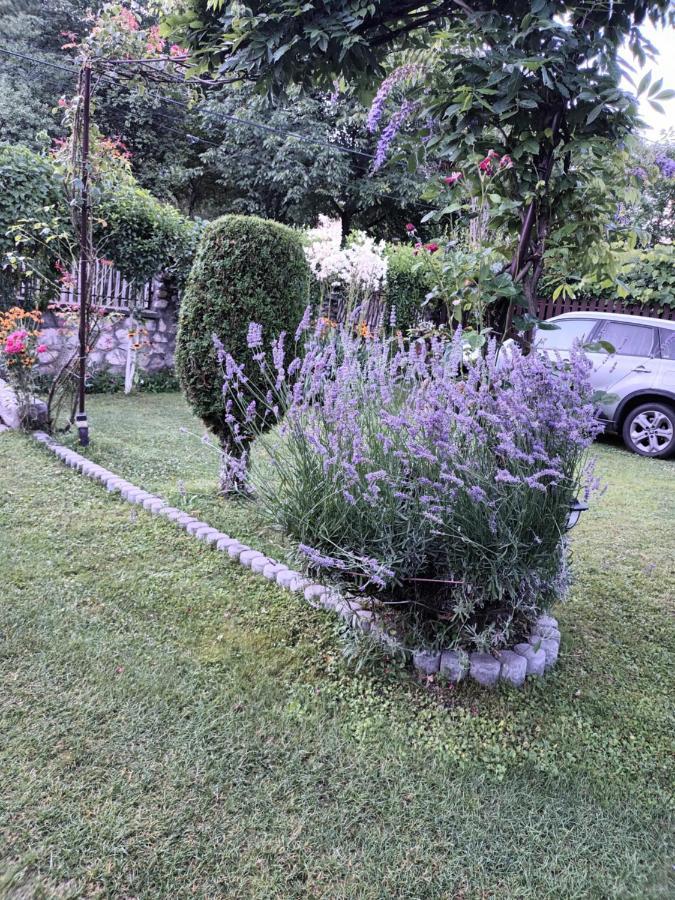 ホテル Casa Bunicii Costeşti エクステリア 写真