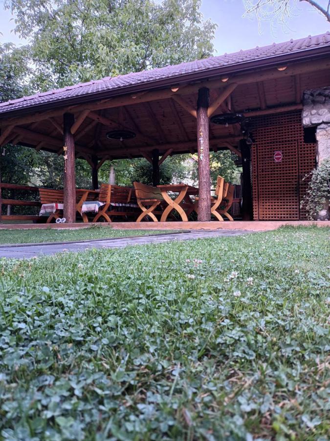 ホテル Casa Bunicii Costeşti エクステリア 写真