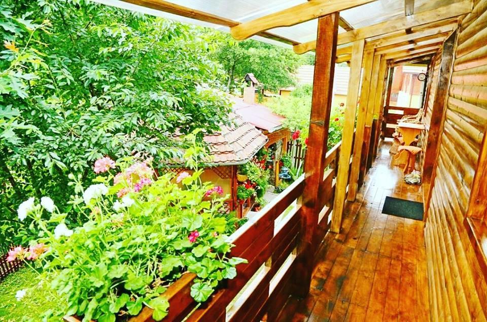ホテル Casa Bunicii Costeşti エクステリア 写真