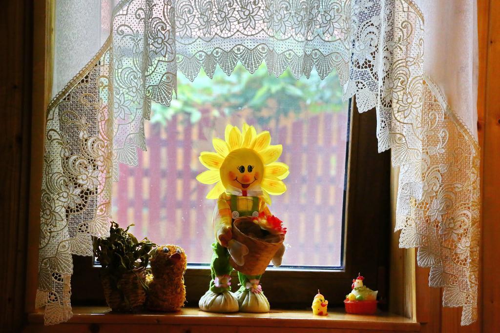 ホテル Casa Bunicii Costeşti エクステリア 写真