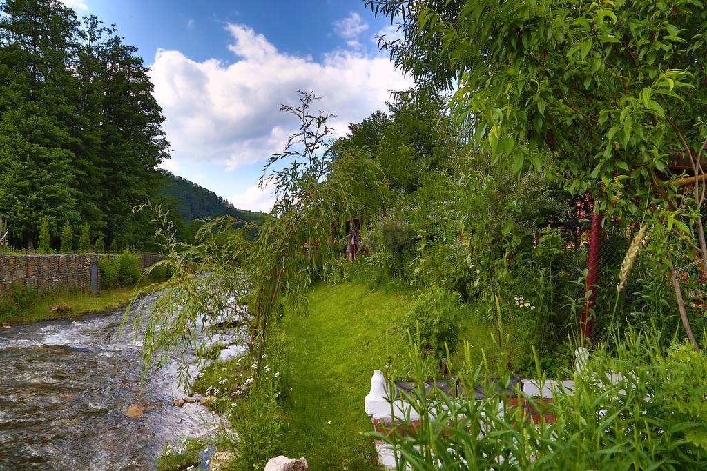 ホテル Casa Bunicii Costeşti エクステリア 写真